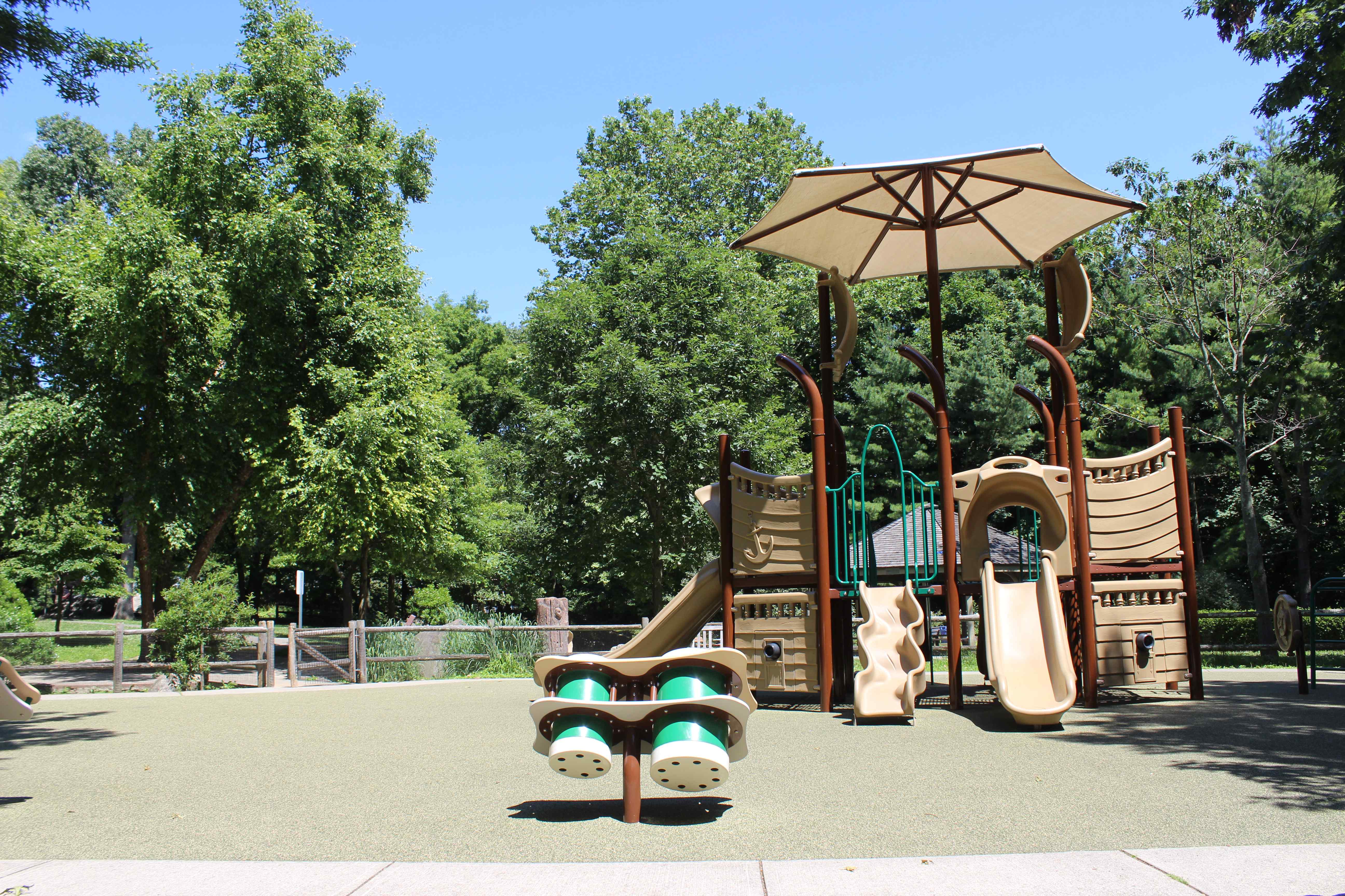 Bruce Park Gallery MRC Recreation